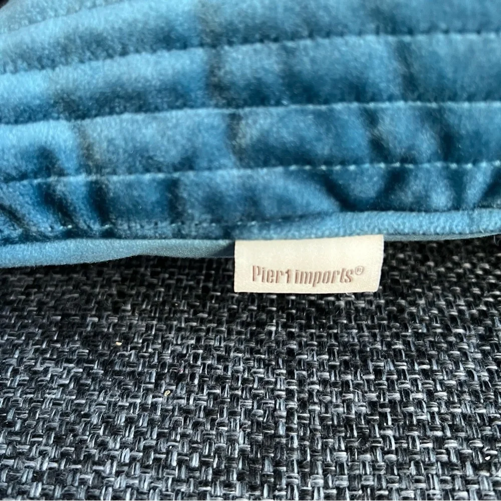 Pier 1 Imports Velvet Throw Pillows- set of 2